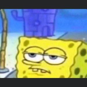 Meet your Posher, Warren